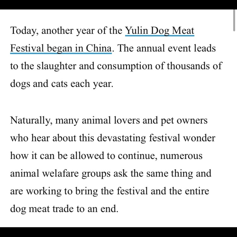 🤬STOP YULIN🤬 - Picture 8 of 8